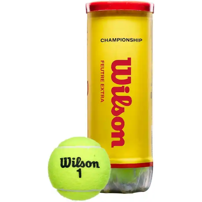 Wilson Champ Extra Duty Tennis Balls