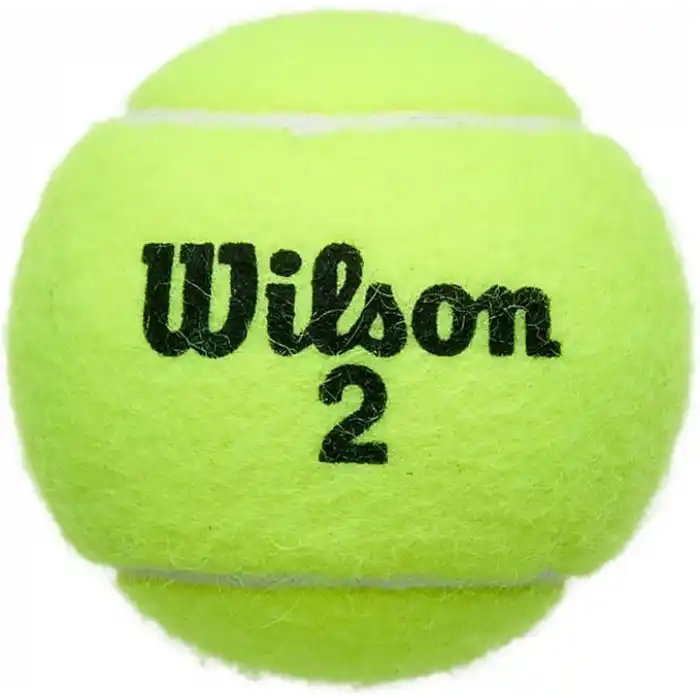 Wilson Champ Extra Duty Tennis Balls