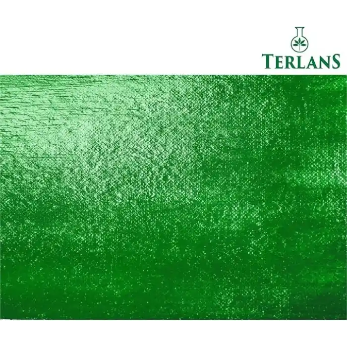 Terlans Su Bazlı Parlak Vernik | 100 ml | Akrilik ve Yağlı Boya Koruyucu