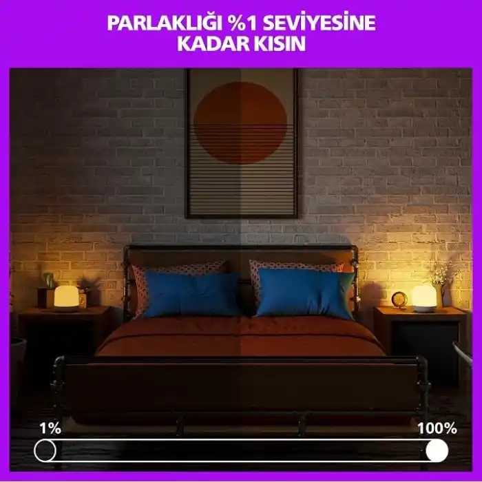 Philips Smart Lighting Hero Akıllı Masa Lambası (Type-C) - Google Home, Alexa, HomeKit ve Matter uyumlu