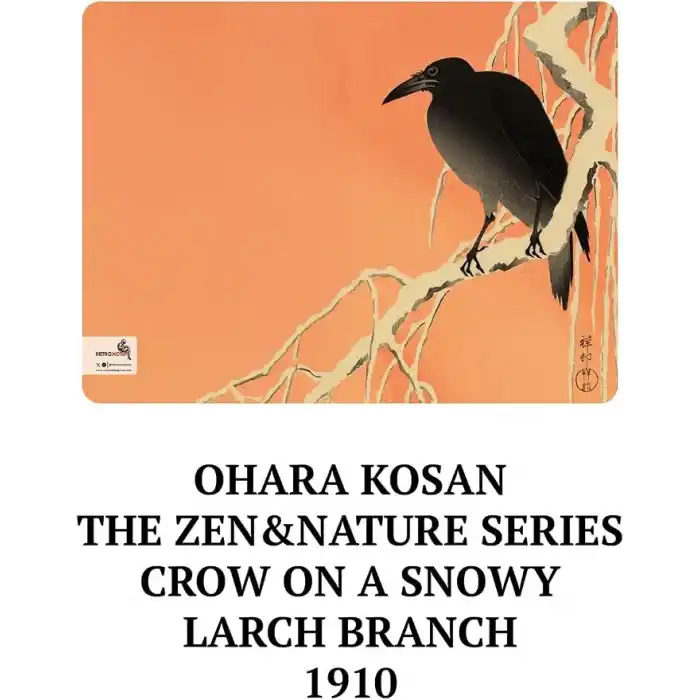 Retronote Ohara Kosan The Zen & Nature Series 4lü Defter Seti, Çizgisiz, 64 Sayfa, 14x21cm, Çok Renkli