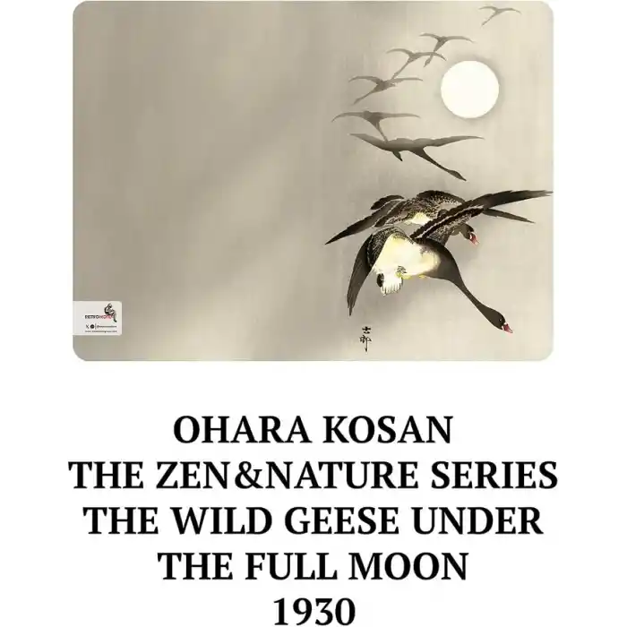 Retronote Ohara Kosan The Zen & Nature Series 4lü Defter Seti, Çizgisiz, 64 Sayfa, 14x21cm, Çok Renkli
