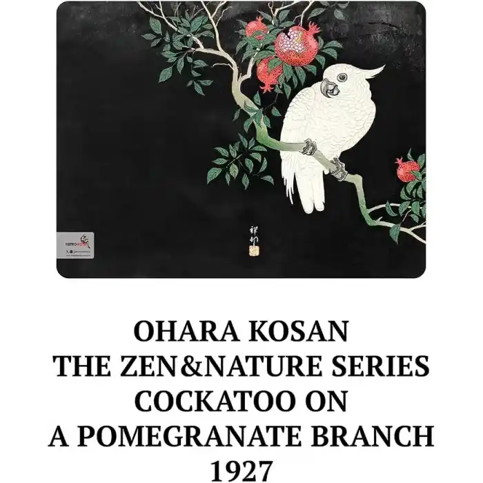 Retronote Ohara Kosan The Zen & Nature Series 4lü Defter Seti, Çizgisiz, 64 Sayfa, 14x21cm, Çok Renkli