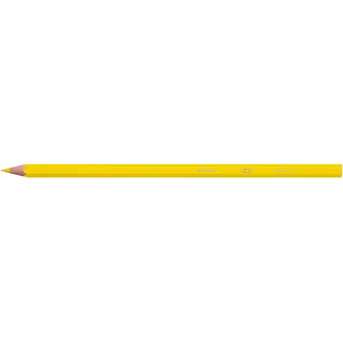 BIC Kids Evolution Kuru Boya Kalemi 25li Metal Tüp, Kıymık Oluşturmaz, Çiğnemeye Karşı Dayanıklı, Kolay Açılır