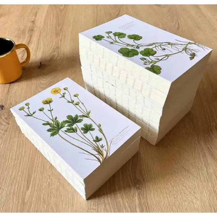 Fark Tanıtım Özel Tasarım Kapaklı A5 Çizgisiz Not Defteri - 180 Derece Açılabilir, Sırtı Dikişli,%100 El İşçiliği, Ofis İçin İdeal, Planlayıcı (Ranunculus Lenormand Kapak Tasarımı)