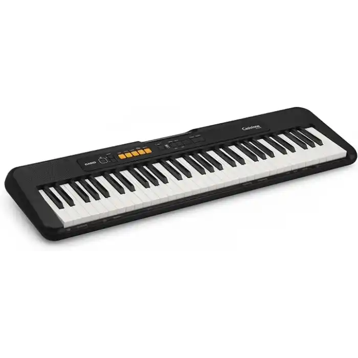 Casio CT-S100 61 TUŞLU ORG