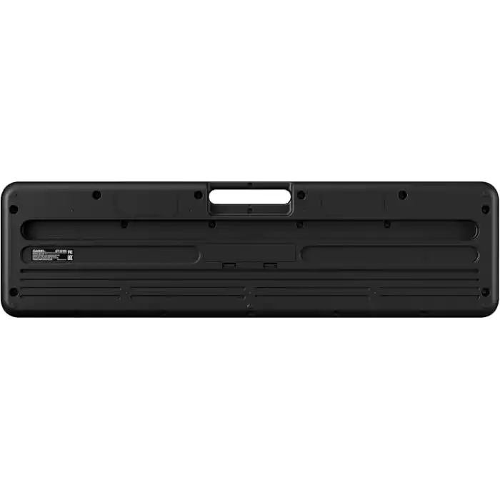 Casio CT-S100 61 TUŞLU ORG