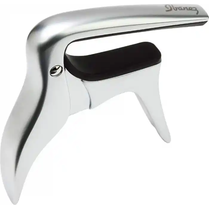 Ibanez IGC10 Gitar Kaposu