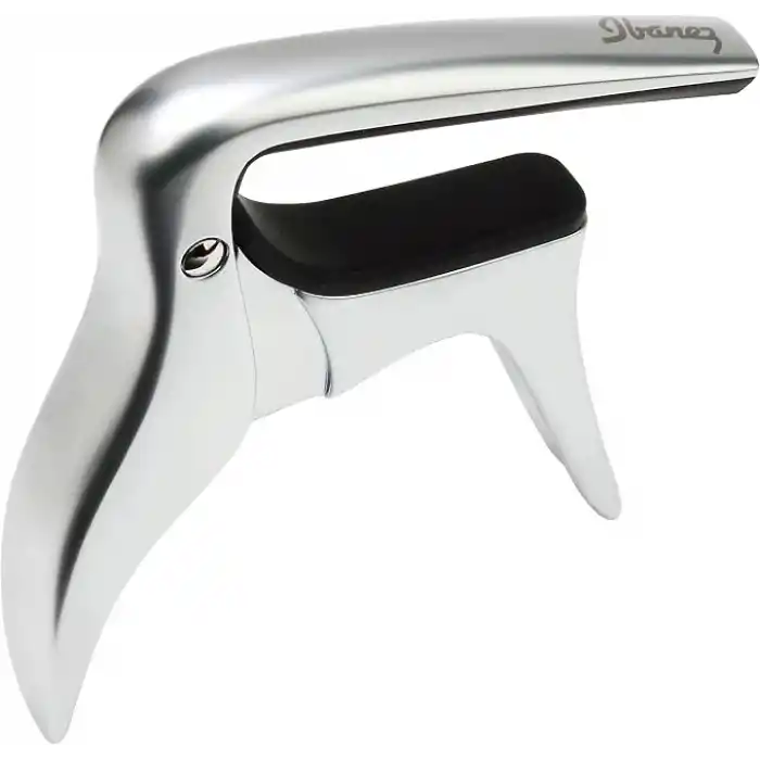 Ibanez IGC10 Gitar Kaposu