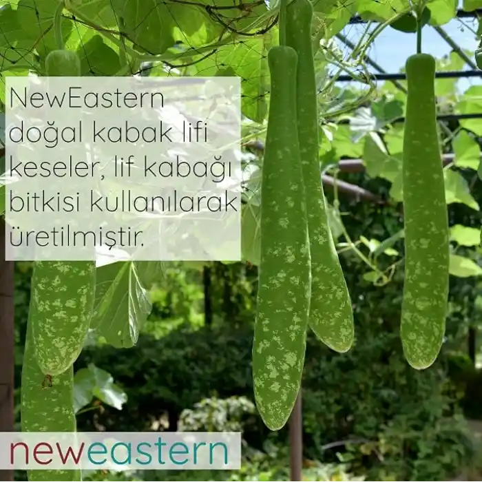 Doğal Kabak Lifi (Sopalı Lif Sünger, 1, Adet)
