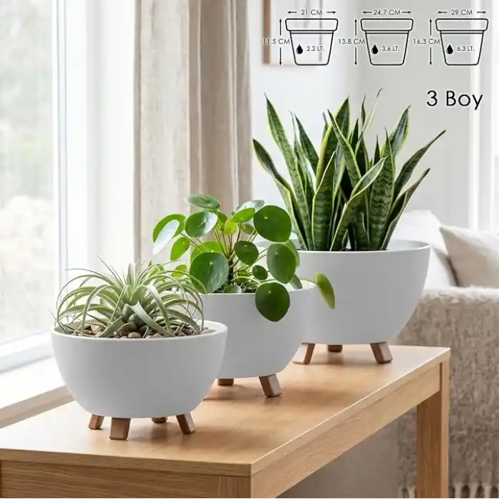 Sora Saksı Süzgeçli Ayaklı Delikli Plastik Aranjman Sukulent Saksısı (Krem, 3 Boy)