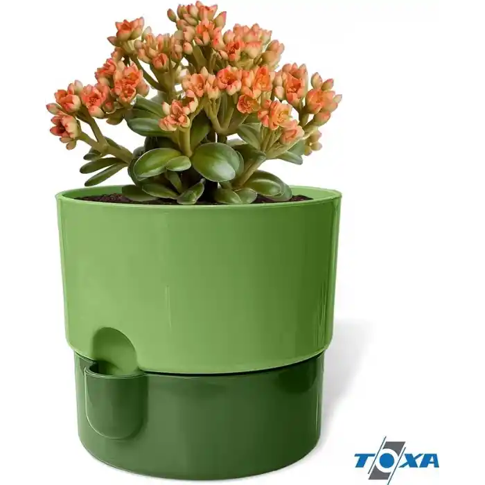 ToXA Dora Saksı Tabaklı Çiçek Kaktüs Saksısı Parlak Plastik Saksı (2 Adet, Yeşil, 1L, 13cm)