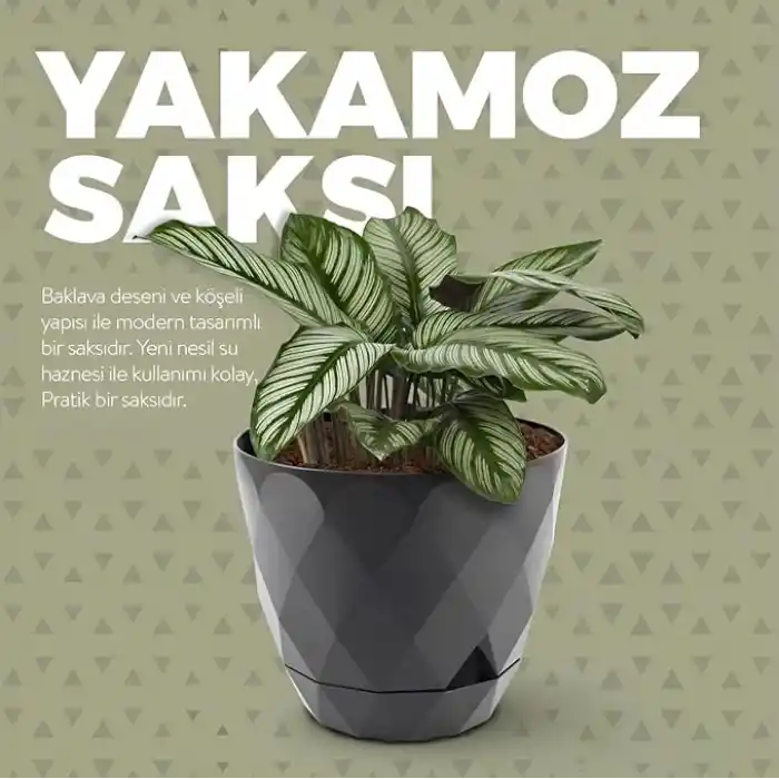 Yakamoz Saksı (1, Bej, 9.2 Litre)
