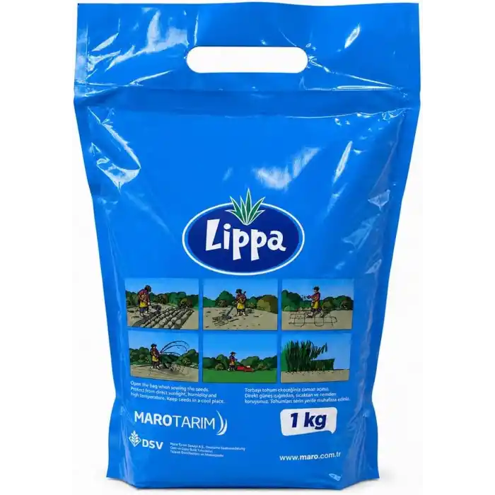 DSV Lippa Pro Shadow 5S Gölge Alan Çim Tohumu, Ağaç Altı ve Yarı Gölge İçin 5 Bileşenli Karışım, 1 kg