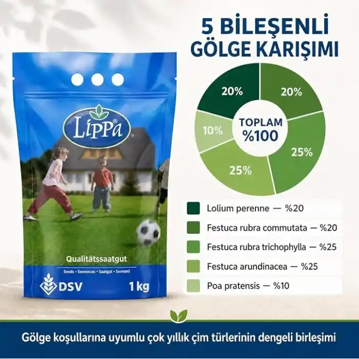 DSV Lippa Pro Shadow 5S Gölge Alan Çim Tohumu, Ağaç Altı ve Yarı Gölge İçin 5 Bileşenli Karışım, 1 kg