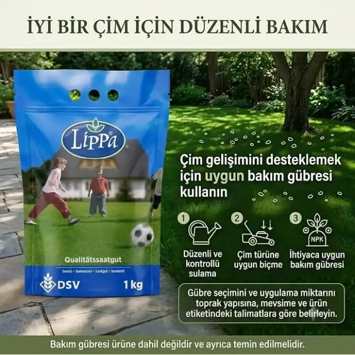 DSV Lippa Pro Shadow 5S Gölge Alan Çim Tohumu, Ağaç Altı ve Yarı Gölge İçin 5 Bileşenli Karışım, 1 kg