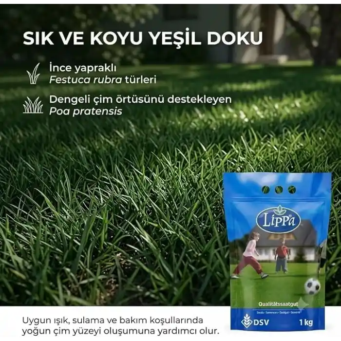 DSV Lippa Pro Shadow 5S Gölge Alan Çim Tohumu, Ağaç Altı ve Yarı Gölge İçin 5 Bileşenli Karışım, 1 kg