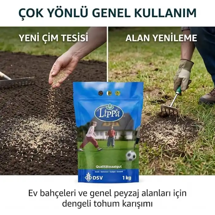 DSV Lippa Pro Shadow 5S Gölge Alan Çim Tohumu, Ağaç Altı ve Yarı Gölge İçin 5 Bileşenli Karışım, 1 kg