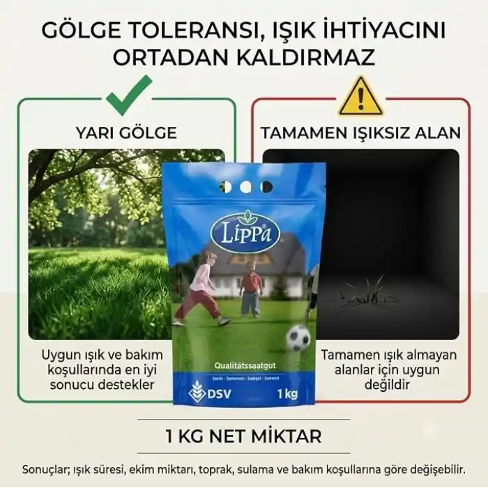 DSV Lippa Pro Shadow 5S Gölge Alan Çim Tohumu, Ağaç Altı ve Yarı Gölge İçin 5 Bileşenli Karışım, 1 kg