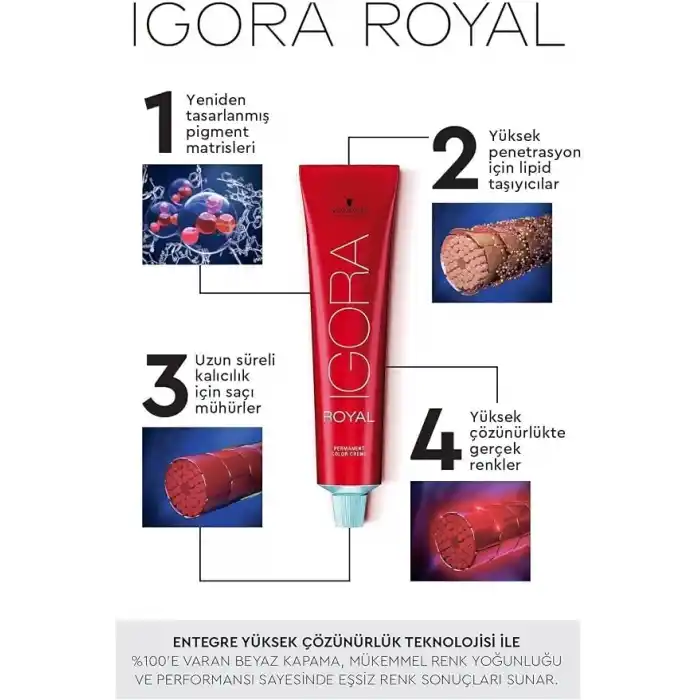 Schwarzkopf Igora Royal Saç Boyası 60ml-No - 6.1 Küllü Koyu Kumral