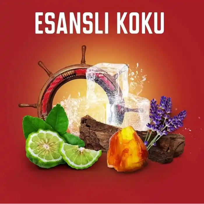 Old Spice Whitewater Erkekler İçin Stick Deodorant 50 ml
