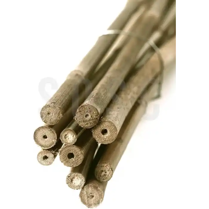 120 Cm Doğal Bambu Bitki Destek Çubuğu 10 Adet 5-10 mm