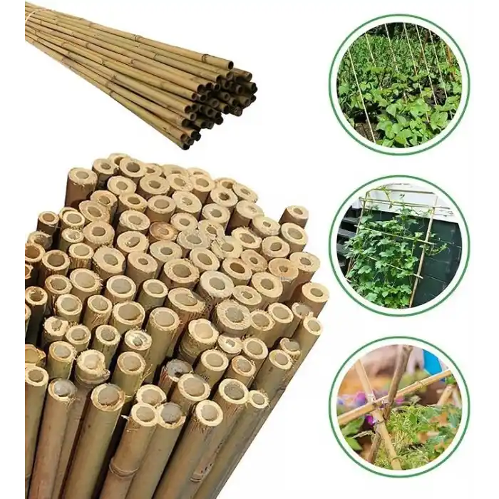 120 Cm Doğal Bambu Bitki Destek Çubuğu 10 Adet 5-10 mm