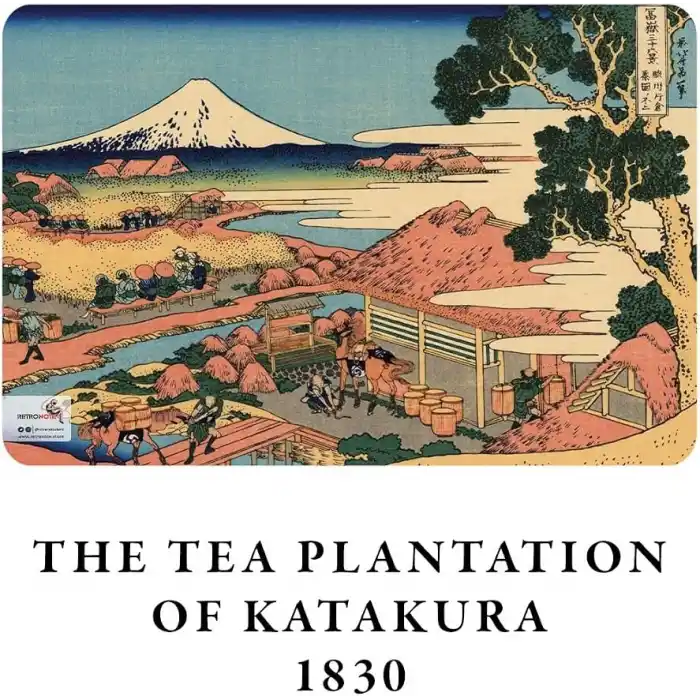 Retronote Hokusai 4lü Defter Seti 2, Mount Fuji Series Iı, Çizgisiz, 64 Sayfa, 14x21cm