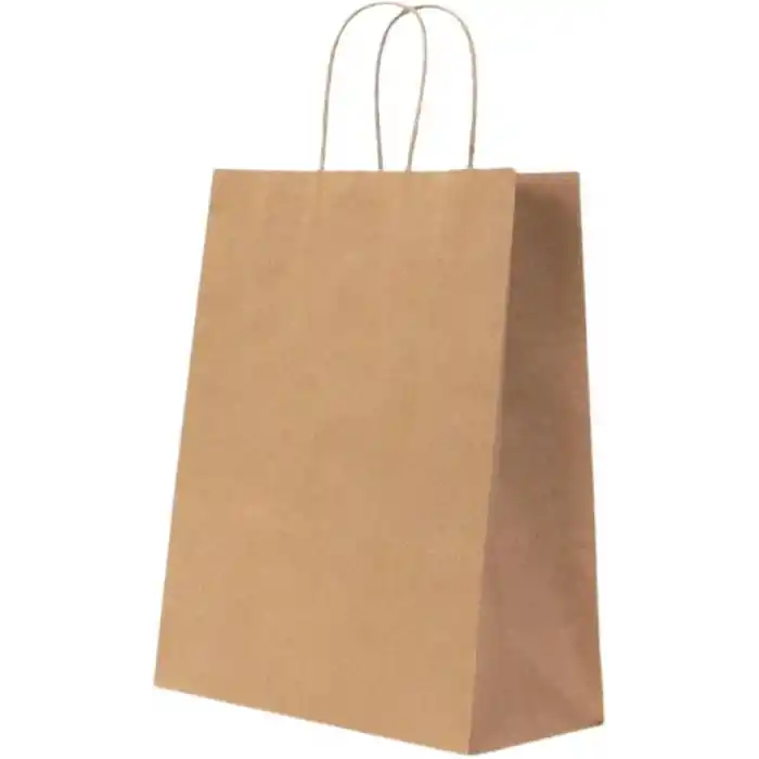Gizpak Burgu Saplı Kraft Kağıt Çanta 18X24X8Cm 50 Adet
