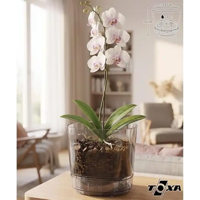 Pera Orkide Saksı (Gri, 2.3 Litre)