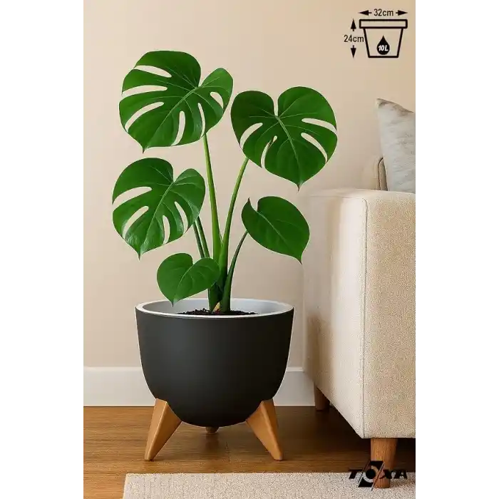 ToXA 10 Litre 32cm Küre Saksı Ayaklı Delikli Süzgeçli Plastik Çiçek Saksısı Antrasit