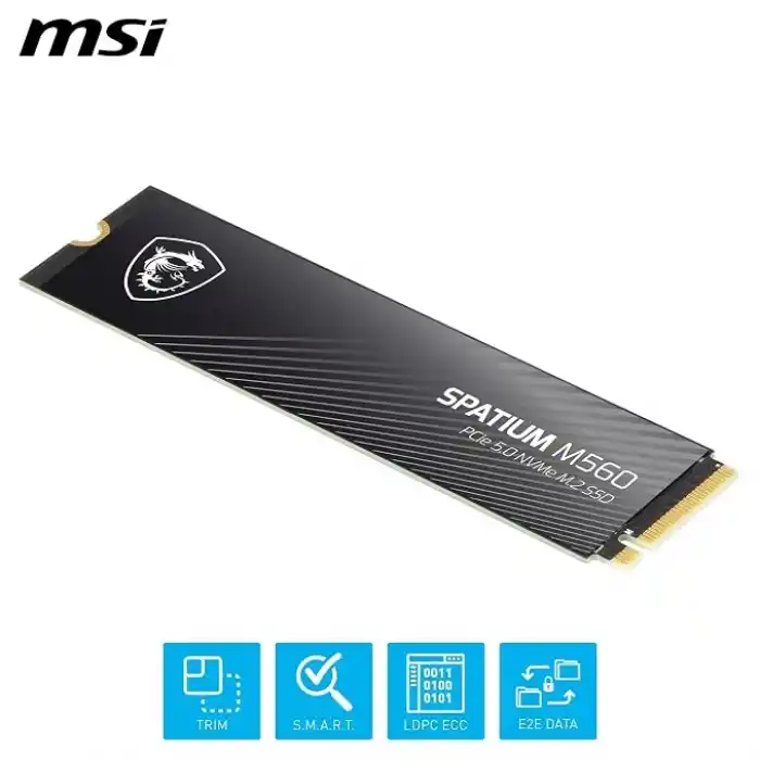 MSI SPATIUM M560 SSD 2 TB - PCIe 5.0 NVMe M.2 dahili katı hal sürücü, 10.300 MB/s okuma, 8.700 MB/s yazı, 3D NAND, entegre veri güvenliği, merkez, 5 yıl garanti (1200 TBW)