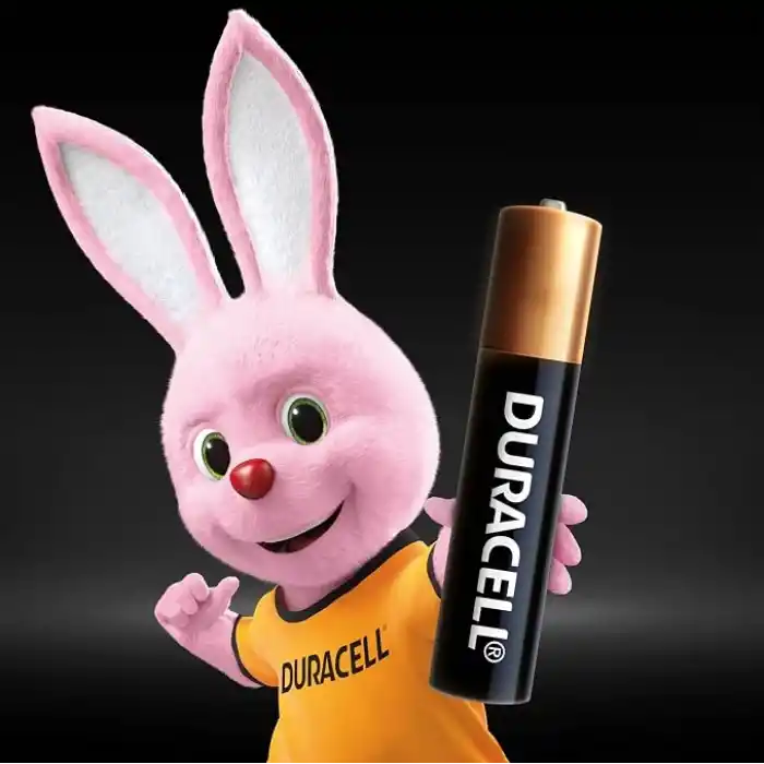 Duracell Özel Alkalin AAAA 2li