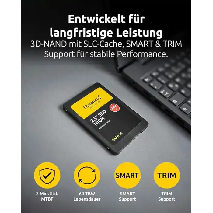 Intenso SSD 2.5 inç SATA 3 120 GB, Siyah