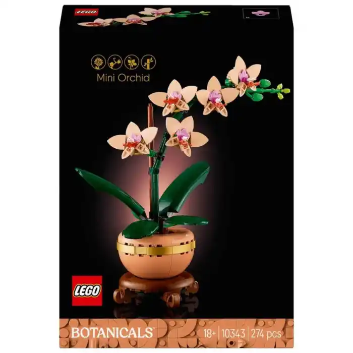Mini Orkide Bitkisi 10343 - Dekoratif İç Mekan