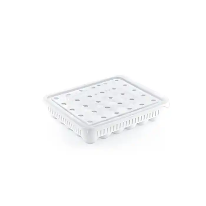 Pratik Kullanım için Ergonomik 30lu Yumurta Saklama Kabı