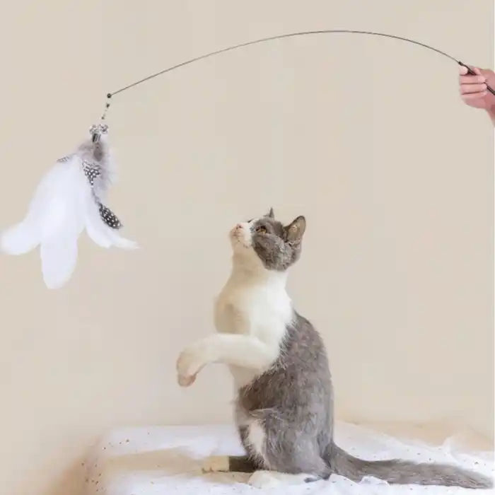 Eğlenceli Vantuzlu Zilli Kedi Olta Oyuncağı 2 Tüy Seti