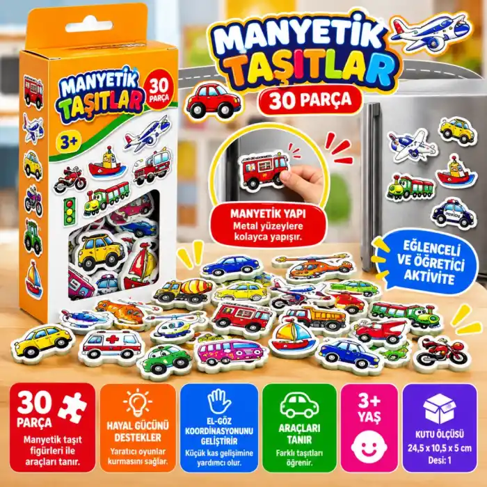 TCX 1291 MANYETİK TAŞITLAR