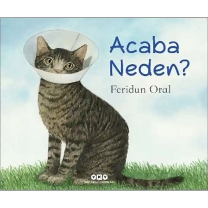 TCX Acaba Neden?