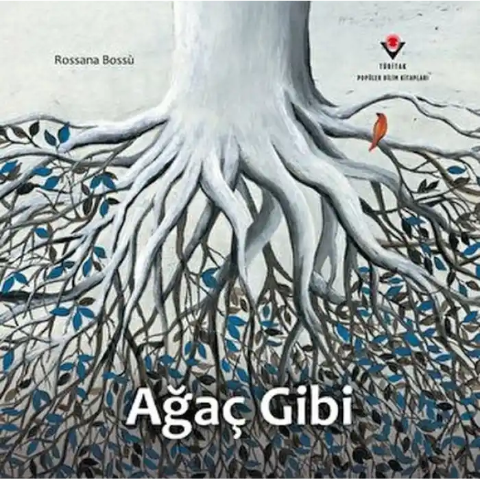 TCX Ağaç Gibi