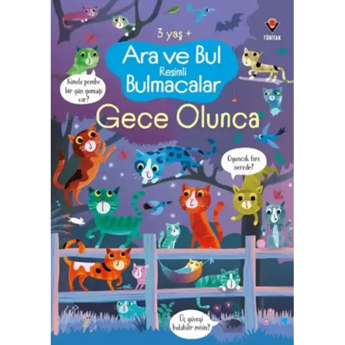 TCX Ara ve Bul li Bulmacalar - Gece Olunca
