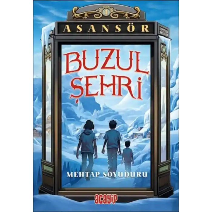 TCX Asansör 1 Buzul Şehri