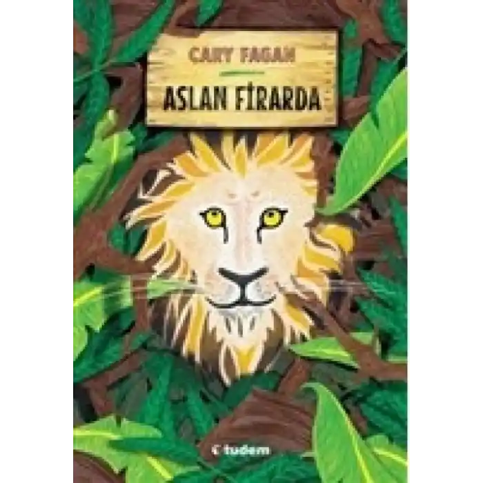 TCX Aslan Firarda