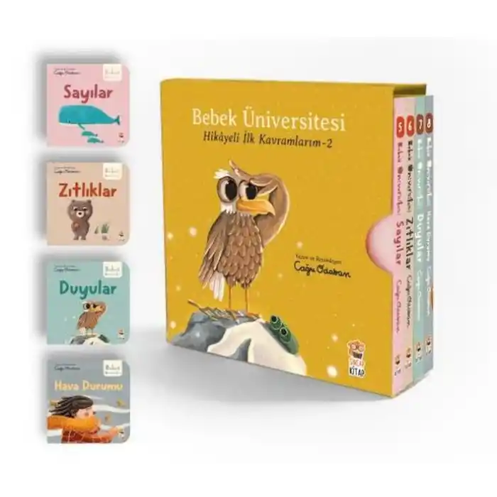 TCX Bebek Üniversitesi Set 2 (4 )