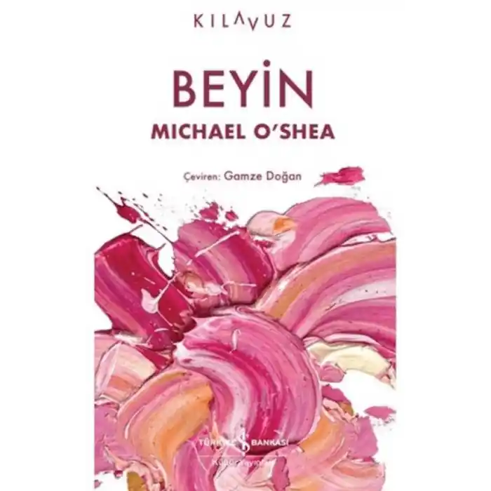 TCX Beyin
