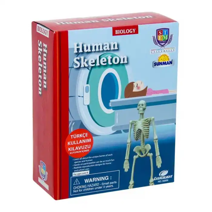 TCX Bilim Seti : İnsan İskeleti
