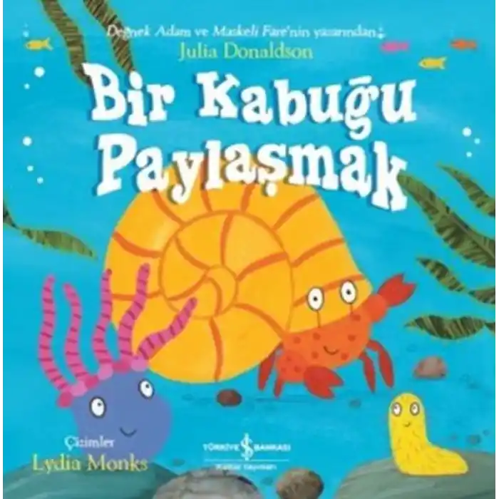 TCX Bir Kabuğu Paylaşmak