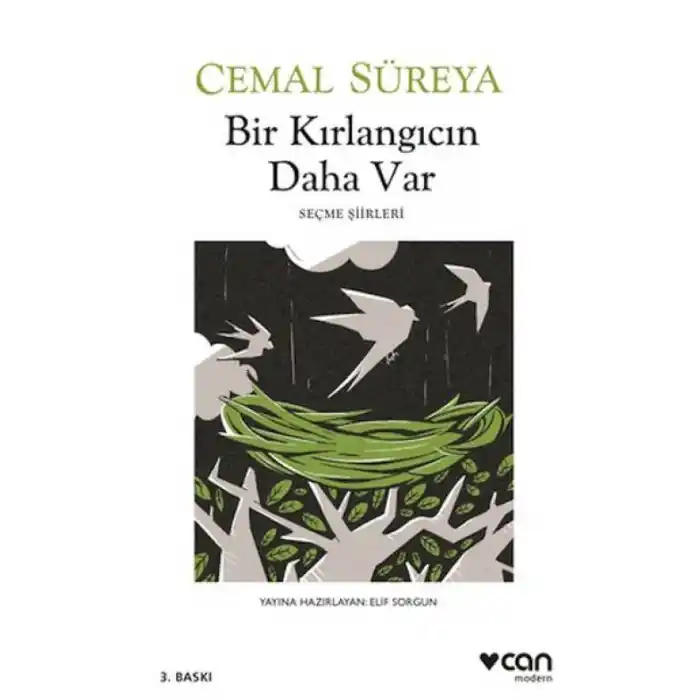TCX Bir Kırlangıcın Daha Var