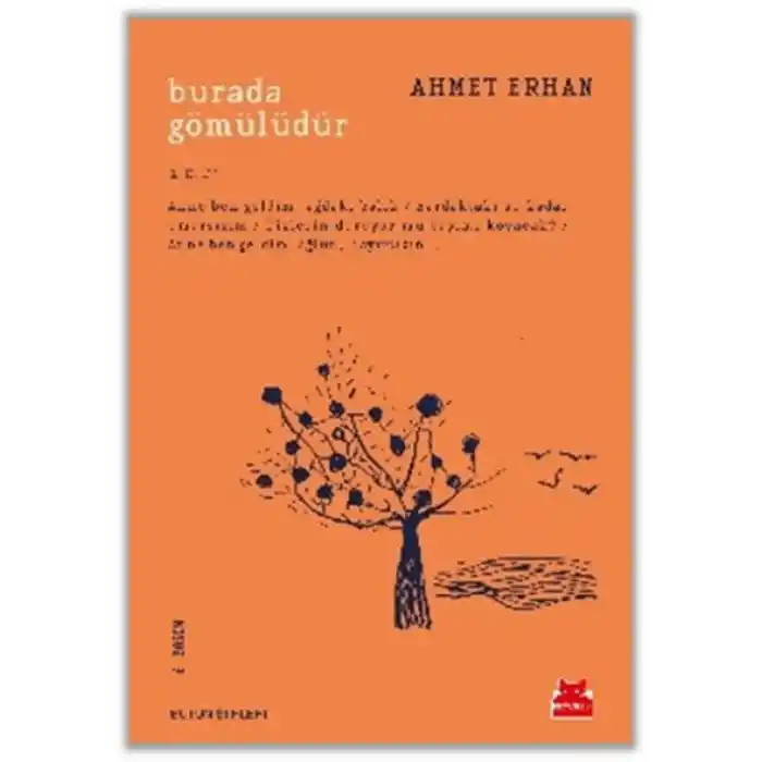 TCX Burada Gömülüdür 1. Cilt
