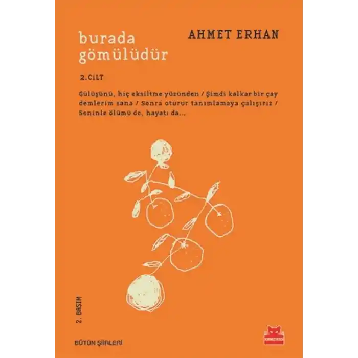 TCX Burada Gömülüdür 2. Cilt